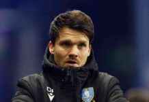 Sheffield Wednesday vs Plymouth: Match Prediction, Team News, Lineups news-10082024-165627