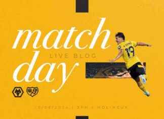 Wolves vs Rayo Vallecano Matchday Blog: Highlights, Analysis & More news-10082024-170548