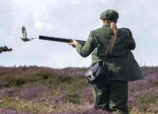 Grouse Shooting Season Begins Under New Licensing Laws: What to Expect news-13082024-072706