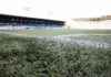 Ban on Artificial Pitches in Scottish Premiership for Player Safety news-16082024-015737