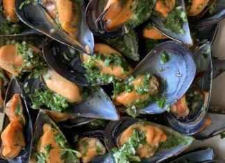 Best Scottish Seafood Restaurants to Visit Before Summer Ends news-22082024-065248