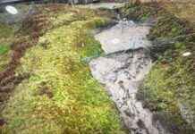 Reopened A83 via Old Military Road after 500-tonne landslide news-16092024-051745