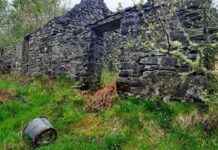 Scotland’s Dark History: The Ultimate Clearances in the Woods news-16092024-091912