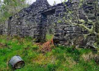 Scotland’s Dark History: The Ultimate Clearances in the Woods news-16092024-091912
