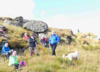 Revived Walking Festival Draws Crowds After Four-Year Hiatus news-17092024-191304