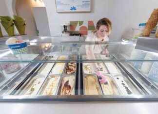 Differences Between North American Ice Cream and Gelato: Exploring a New City Scoop Shop news-21092024-111042