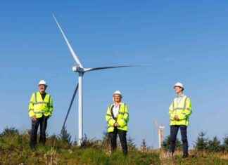 Wind Farm Milestone: First Turbines Installed to Power 170,000 Homes news-23092024-084008