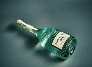 Celebrate Scottish Gin Day with Our Top Picks of Sensational Spirits news-06102024-031432