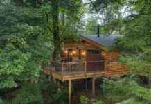 Treetop Hotel in Scotland: An Off-the-Grid Getaway news-20102024-084615