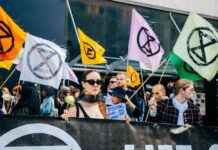 Gentle Protest: Kevin McKenna’s Powerful Art for Change news-21102024-085524