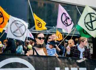 Gentle Protest: Kevin McKenna’s Powerful Art for Change news-21102024-085524