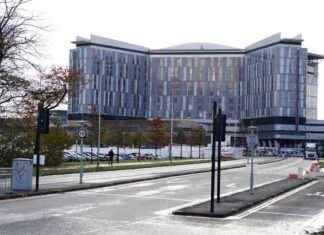 Pigeon-Linked Infection Led to Excessive Suffering for Cancer Patient news-23102024-150729