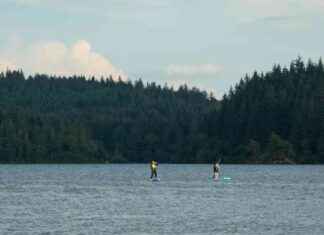 Enchanted Forest in Scotland Voted Best in Britain: Explore its Magical Beauty news-27102024-035410