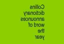 2024 Word of the Year Revealed by Collins Dictionary news-01112024-060532