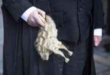 Law Officer Supports Juryless Rape Trial Scheme as Beneficial Measure news-11112024-095016