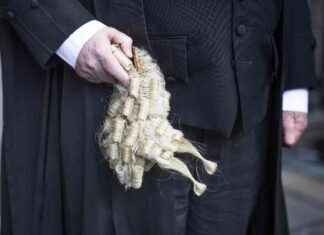 Law Officer Supports Juryless Rape Trial Scheme as Beneficial Measure news-11112024-095016