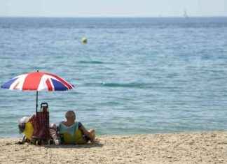 UK Performance Figures Spark Disappointment and Concern: Analysis and Insights news-15112024-221501