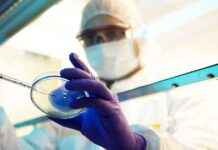 Enhanced Funding to Fight Antibiotic Resistance Crisis news-22112024-141444