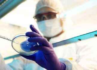 Enhanced Funding to Fight Antibiotic Resistance Crisis news-22112024-141444