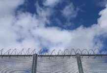 Concerns Raised Over Early Prisoner Release Program by Senior Police Leader news-27112024-054259