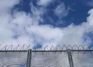 Concerns Raised Over Early Prisoner Release Program by Senior Police Leader news-27112024-054259