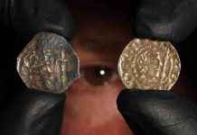 £50,000 Reward Offered in Search for Stolen Coins – 17 Years Missing news-27112024-174722