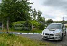 Finlay MacDonald Convicted for Murdering Brother-in-Law in Shotgun Rampage news-29112024-180810