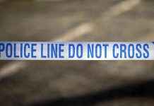 Fatal Accident: Man Killed in Car Accident in Edinburgh news-02122024-151103