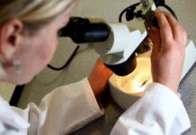 scottish-scientists-launch-project-to-solve-cancer-mystery