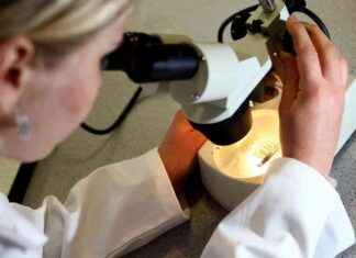 Scottish Scientists Launch Project to Solve Cancer Mystery scottish-scientists-launch-project-to-solve-cancer-mystery