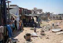 UK urged to stop arms sales amid accusations of genocide by Israel uk-urged-to-stop-arms-sales-amid-accusations-of-genocide-by-srael