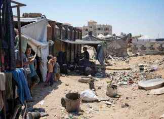 UK urged to stop arms sales amid accusations of genocide by Israel uk-urged-to-stop-arms-sales-amid-accusations-of-genocide-by-srael