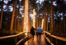 Cairngorms Winter Season Sees Strong Start for Local Businesses cairngorms-winter-season-sees-strong-start-for-local-businesses