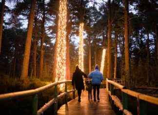 Cairngorms Winter Season Sees Strong Start for Local Businesses cairngorms-winter-season-sees-strong-start-for-local-businesses