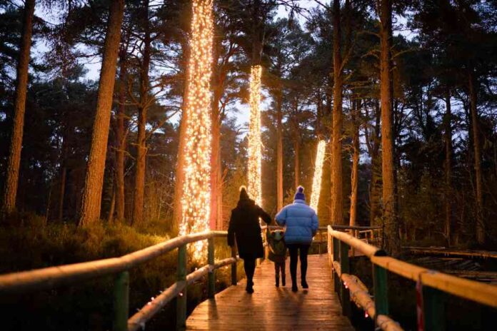 cairngorms-winter-season-sees-strong-start-for-local-businesses