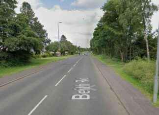 Elderly Pedestrian Succumbs to Injuries After Car Accident elderly-pedestrian-succumbs-to-njuries-after-car-accident