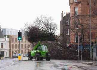 Storm Éowyn: 16,000 Homes Left Without Power – Latest Updates storm-owyn-16000-homes-left-without-power-latest-updates