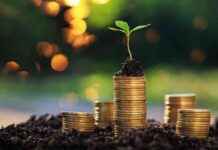 Driving Growth in Scotland through Grassroots Project Investment driving-growth-in-scotland-through-grassroots-project-nvestment