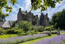 Revolutionary Laser Probe Reveals Castle’s Secrets revolutionary-laser-probe-reveals-castles-secrets