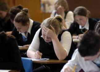 SQA restructures executive roles following chief’s departure sqa-restructures-executive-roles-following-chiefs-departure