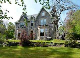 Top Nature Retreat: Scottish Hotel by Ancient Woodland Edge top-nature-retreat-scottish-hotel-by-ancient-woodland-edge