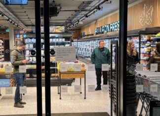 Debate Sparks Over M&S Dog Ban in Edinburgh Area debate-sparks-over-ms-dog-ban-in-edinburgh-area