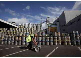 Owner of Scottish Lager Giant Faces Share Plunge Amid Hospitality Pressure owner-of-scottish-lager-giant-faces-share-plunge-amid-hospitality-pressure