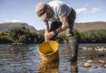 Saving Endangered Wild Salmon: Study’s Hope saving-endangered-wild-salmon-studys-hope