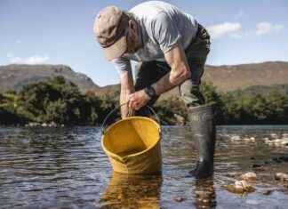 Saving Endangered Wild Salmon: Study’s Hope saving-endangered-wild-salmon-studys-hope