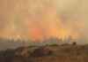 Scotland Wildfire Alert: ‘Very High’ Risk Warning issued scotland-wildfire-alert-very-high-risk-warning-issued