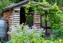 Man Jailed for £100k Shed Scam man-jailed-for-100k-shed-scam