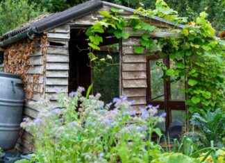 Man Jailed for £100k Shed Scam man-jailed-for-100k-shed-scam