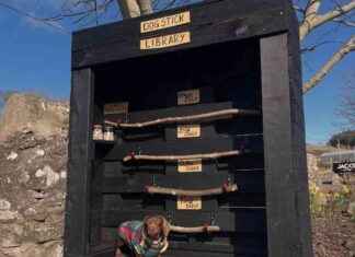 Scottish Island Transformed into Ultimate Dog Paradise scottish-sland-transformed-into-ultimate-dog-paradise