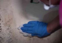 the-mpact-of-uninhabitable-scottish-homes-causes-and-solutions